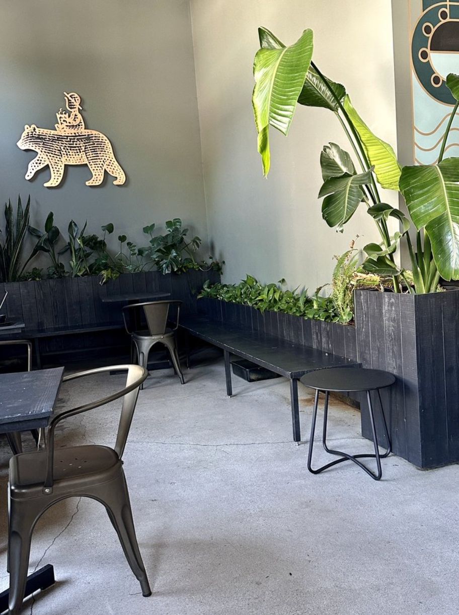 The Boy & The Bear - Coffee Roastery in Pasadena